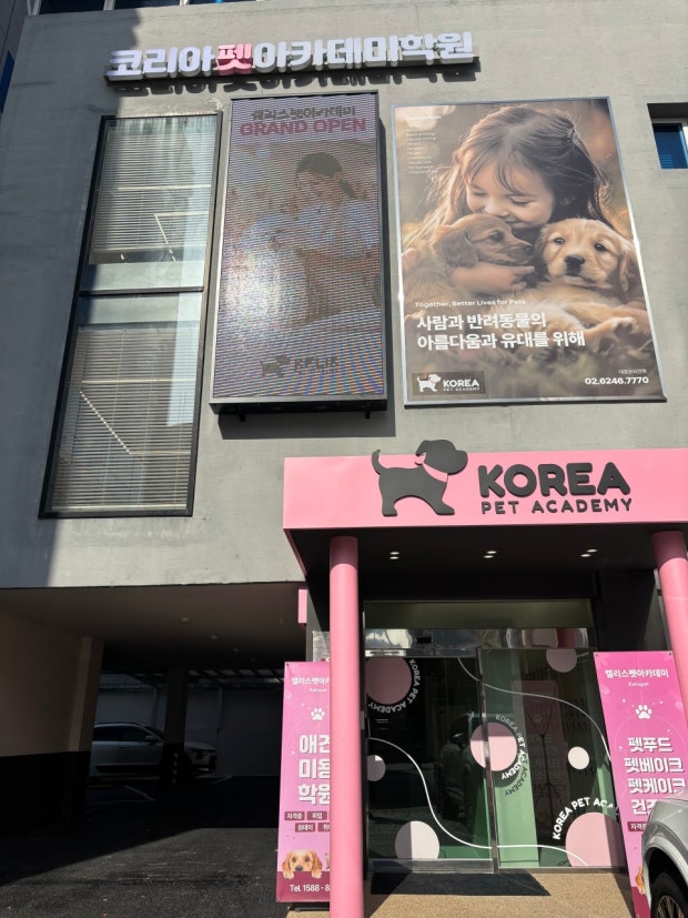 강남 애견미용학원, 펫시터·행동교정까지 한 번에 배우기