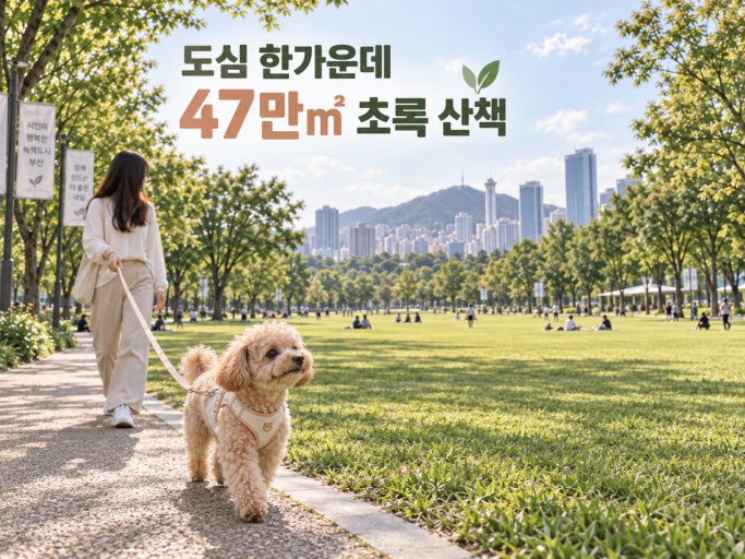 금정문화회관 기획전 : 금정산의 사계와 영남 수묵의 결