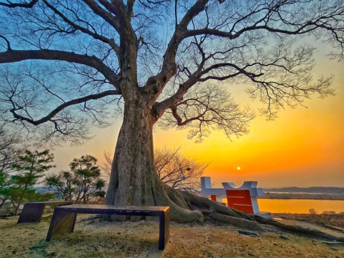 강경근대거리