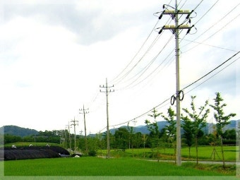풍 경