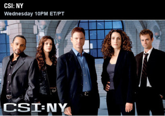 [미국] CSI 뉴욕 (CSI : NY, 2004)