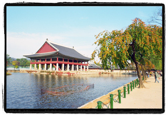 ?src=http%3A%2F%2Fblogfiles.naver.net%2Fdata6%2F2004%2F11%2F18%2F120%2FIMG044-max7842.jpg&type=sc960_832
