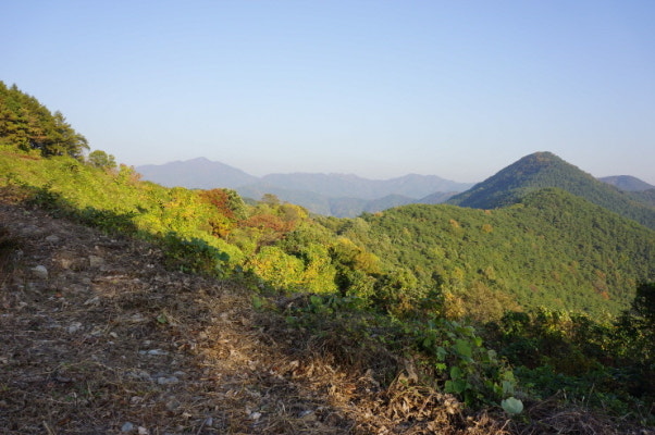 산성 이미지