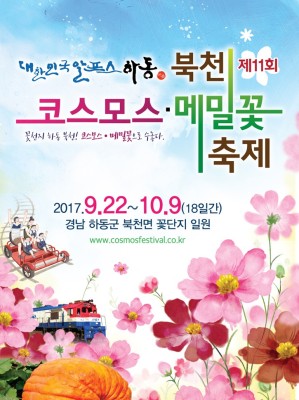 하동북천 코스모스 메밀꽃 축제 2017