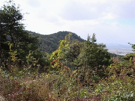 산성 이미지