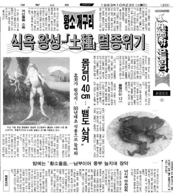 1993년 10월 23일 경향신문에 황소개구리 관련 기사...