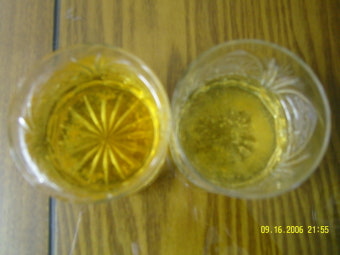 곰팡이맥주