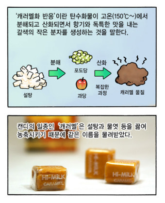 성대식품 이미지