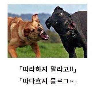 ?src=http%3A%2F%2Fcafefiles.naver.net%2F20131017_47%2Fqkfma8509_1382008691451krpAS_JPEG%2Fna1382008668616.jpg&type=sc960_832