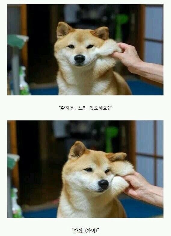 이안치과의원 이미지