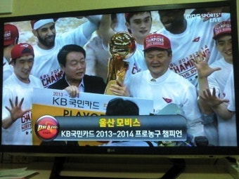 울산모비스 프로농구 챔피언결정전 우승!!