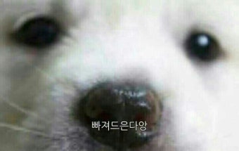 페인스톰잠실 이미지