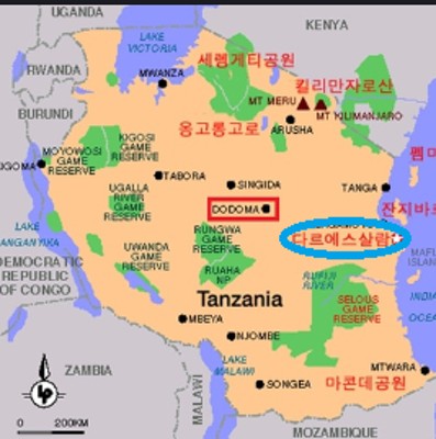 [탄자니아] 아프리카에서 나무심기!! (나홀로 워크캠프 ) | 카페