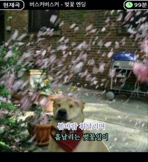 카페밸리 이미지