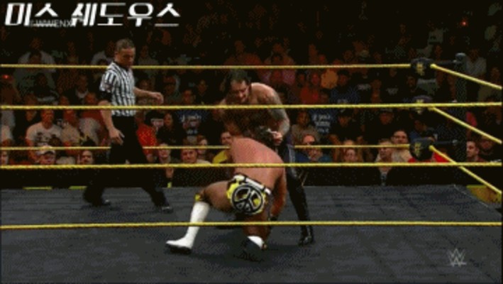 NXT 최고의 피니셔 TOP 5 | 카페