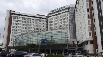 [서울대 의대] 의치대 선배들의 이야기 -  머리가 아닌 가슴 따뜻한 의사되기