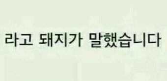 서초칼국수 이미지