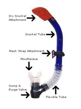 스노클(snorkel)
