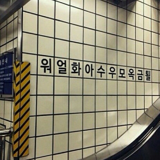 나인룩 이미지