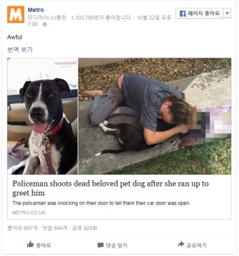 경찰이 불테리어를 총으로 쏴 죽인 사건