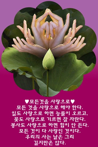     인간관계의  미학     