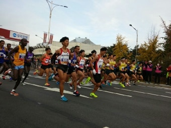 2015년 11월 1일. 일요일 . 중앙 마라톤 대회(42.195km)입니다.
