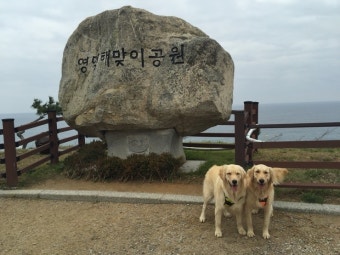 영덕갔다 포항찍고 마무리는 거창! 개동여지도?!!