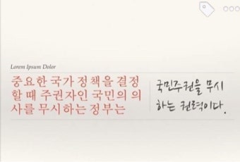 국민주권=투표?