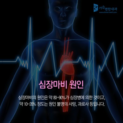 심장마비 전조증상, 심장마비 원인 | 카페