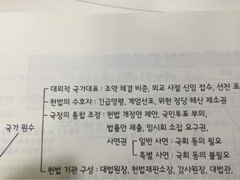 헌법의 수호자로서의 대통령 권한