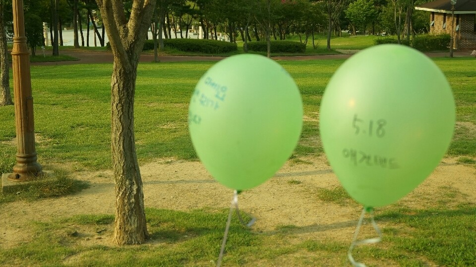 파일럿 앤 퍼스 봉사 활동 중 비행기 추락 사고로 사망한 김 씨, 유기견을 위해 헌신한 희생에 애도와 경의를 표합니다.