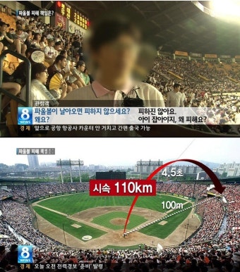 야구장 파울볼에 맞아 다치면 누구책임?