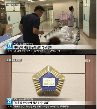 야구장 파울볼에 맞아 다치면 누구책임?