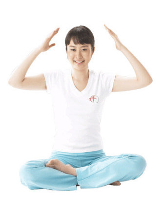 단월드 기체조의 좋은 점은 무엇일까요? 단월드 기체조