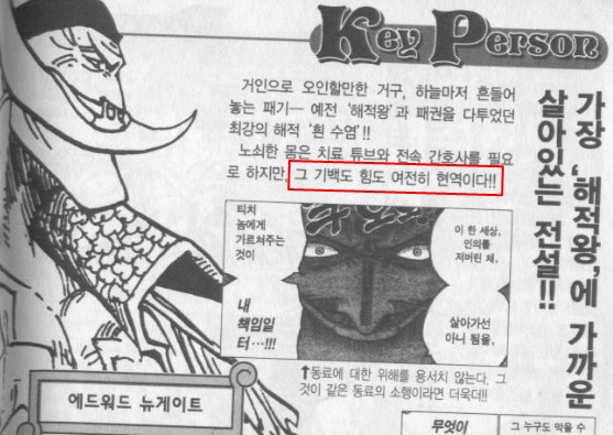 ' 붉은머리해적단 '은 소수정예가 아닙니다.