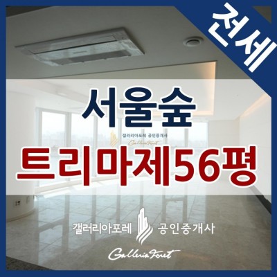 서울숲 트리마제 전세 56평 핫플레이스 | 카페
