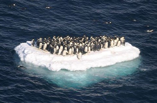 지구온난화 원인과 결과