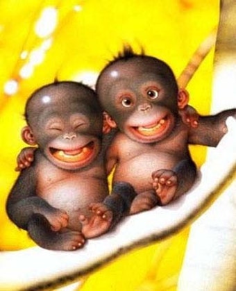 원숭이 형제 귀엽죠^^