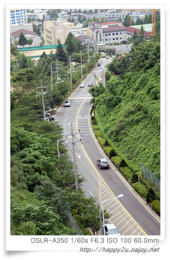 제석산 구름다리