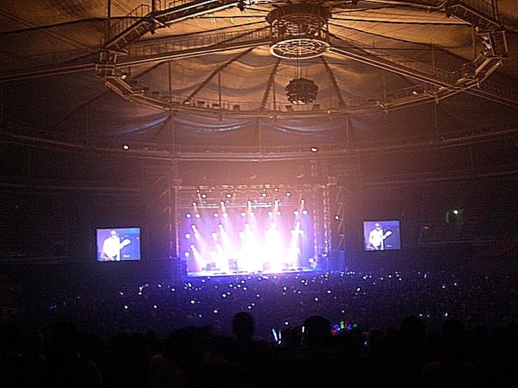 오아시스 런던 콘서트 중 발생한 관객 추락사고, 팬들 충격과 슬픔 (83자)