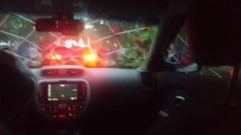 [울산 장미축제] 마로니에파티가 카퍼레이드 진행해드렸습니다