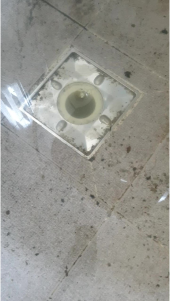 중랑구 망우동 하수구 막힘 