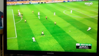 대한민국 사상 첫 결승 진출을 축하합니다!! 2019 FIFA U-20 월드컵