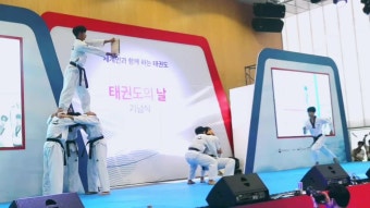 #012) 2019년 9월4일 태권도의 날 기념식 in 태권도원 평원관