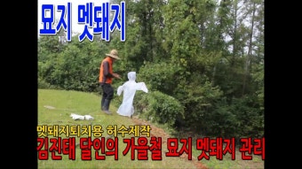묘지 멧돼지 방어용 허수아비