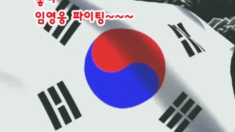 좋다 영웅이의 태극기가 조오타 임영웅 파이팅~~~