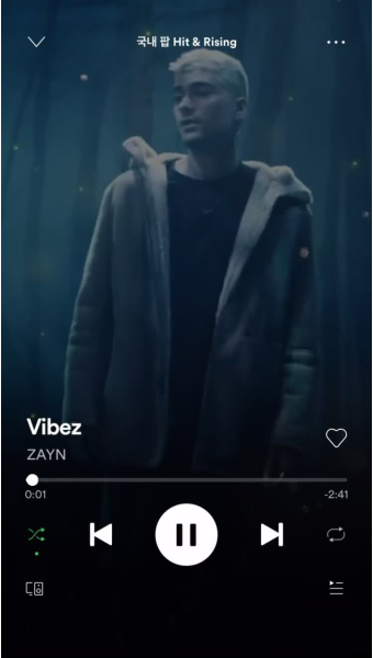 음악 산업의 넷플릭스, 스포티파이(Spotify)를 추천하는 이유 - 아티스트 플레이리스트