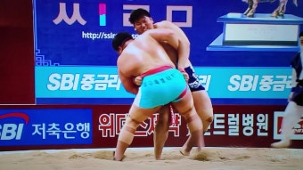 민속씨름계에 괴물 출현        최성민 백두장사 등극!