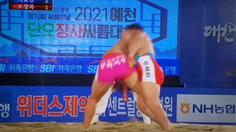 예천 단오장사씨름대회 이효진 한라장사 등극!
