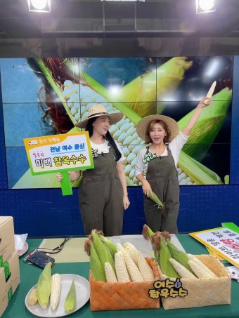 출산첫복귀, 출산53일복귀, 라이브커머스, 이연희쇼호스트